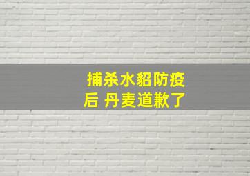 捕杀水貂防疫后 丹麦道歉了